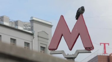 Metro işareti. Üzerinde kuşlar olan büyük kırmızı M harfi. Sokak manzarası. Moskova metrosu