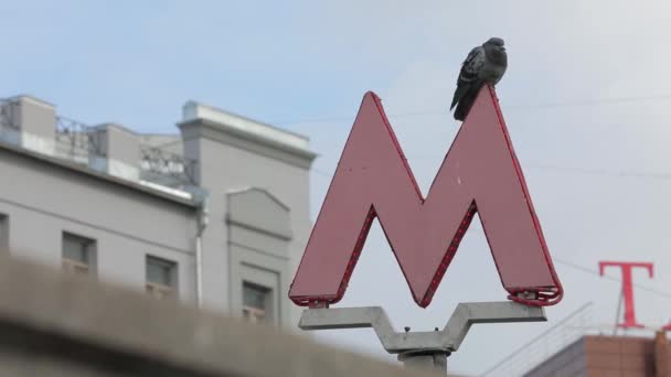 Метро. Большая красная буква М с птицами на ней. Уличный пейзаж. Московское метро — стоковое видео