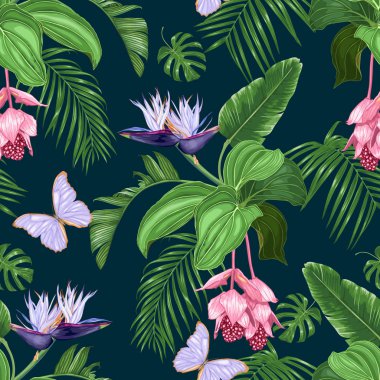 Medinilla, beyaz strelitzia, mor kelebekler, koyu bir arka plan üzerinde tropikal yaprakları. Dikişsiz vektör deseni.