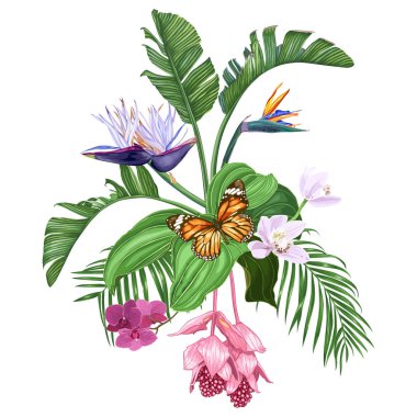 Beyaz arka plan üzerinde izole kelebek ile tropikal çiçek ve yapraklarıkompozisyon. Strelitzia, orkide, medinilla, palmiye ağaçları. Vektör çizimi. 