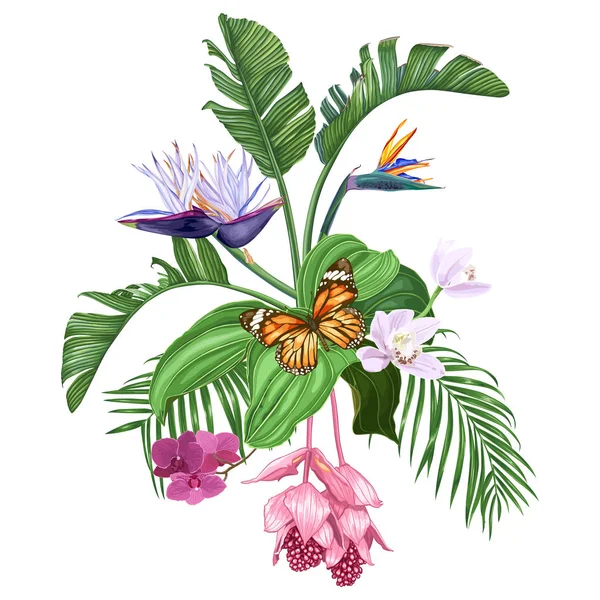 Beyaz arka plan üzerinde izole kelebek ile tropikal çiçek ve yapraklarıkompozisyon. Strelitzia, orkide, medinilla, palmiye ağaçları. Vektör çizimi. 