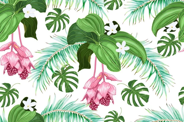 Tropische Bloemen Bladeren Palmen Medinilla Tiara Bloem Naadloos Vector Patroon Vectorbeelden