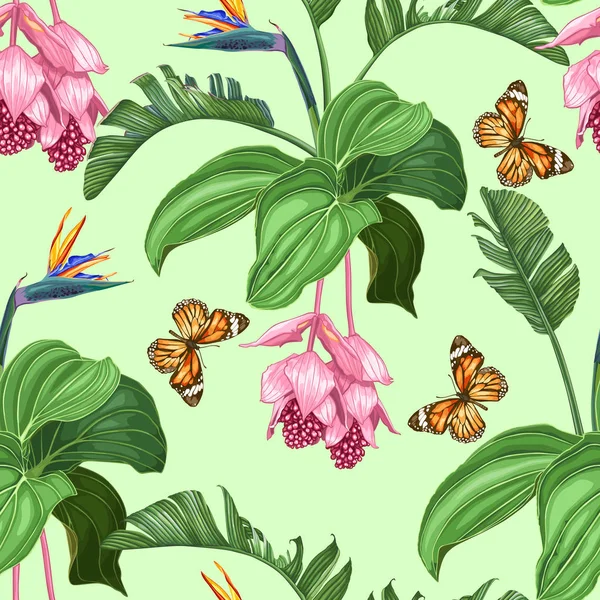 Medinilla Strelitzia Tropische Bloemen Bladeren Vlinders Naadloos Vector Patroon Een Stockvector