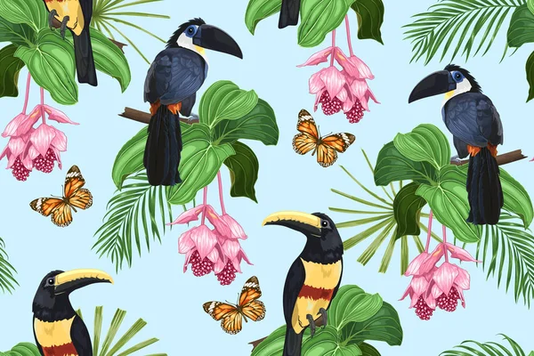 Toucan, kelebek ve tropikal çiçekler. Vektör dikişsiz desen.
