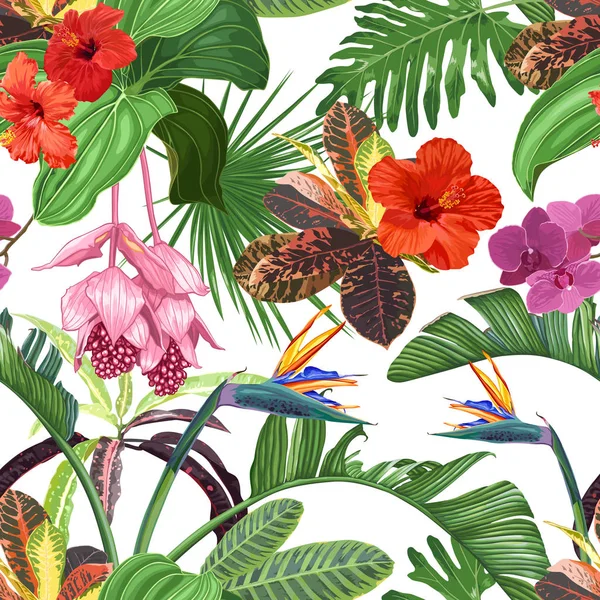 Jasná Vektorová Struktura Tropických Květů Listů Mnoha Podrobnostmi Hibiscus Strelitzia — Stockový vektor
