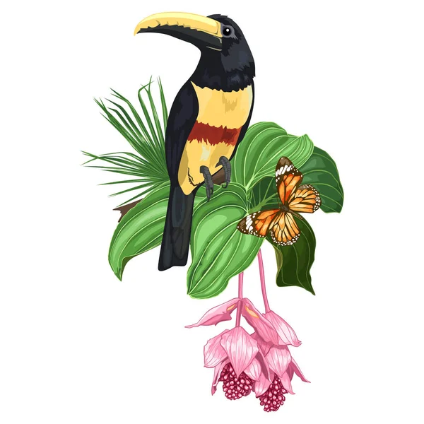 Compositie Met Toucan Vlinder Tropische Bloemen Vector Illustratie Geïsoleerd Witte Stockvector