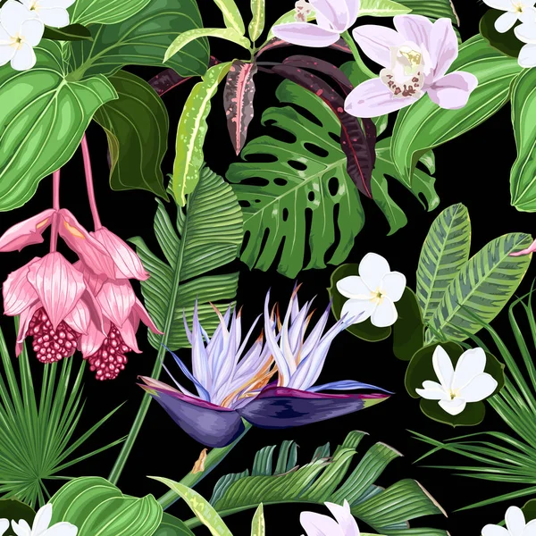 Модный Узор Тюленей Цветками Листьями Темном Фоне Орхидеи Мединилла Белая Лицензионные Стоковые Иллюстрации