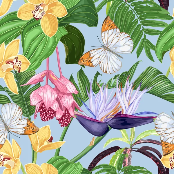 Tropische Bloemen Vlinders Een Lichtgrijze Achtergrond Strelitzia Roze Medinilla Gele Stockillustratie