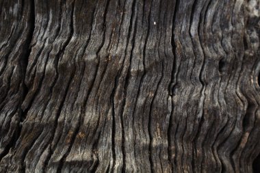 Koyu gri kahverengi kabuk grunge doku.