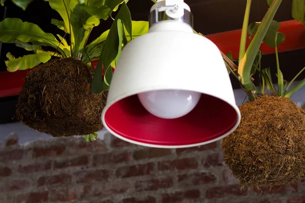 Contrast red white lamp. Unusual pots with plants