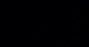 Cold Flash Light Kara Arkaplanda Sızıntı Yapıyor. Üst üste koy. Dönüşüm. Video Renk Filtreleri. Hafif Strobe. Fotoğraf Flaşı.