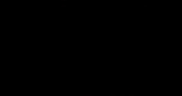 Siyah Arkaplanda Yeşil Işık Sızıntısı Üst Üste Koy Dönüşüm Video — Stok video