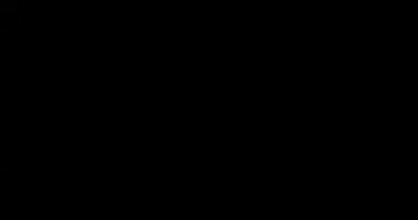 Soğuk Fotoğraf Strobe. Lambayı yak. Flaş. Üst üste. Geçişler