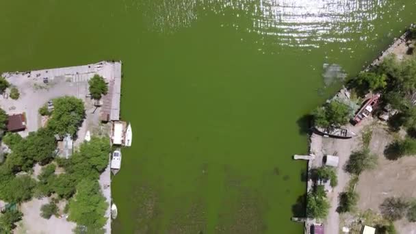 アッカーマン要塞の上空を飛行する 河口の砦 — ストック動画