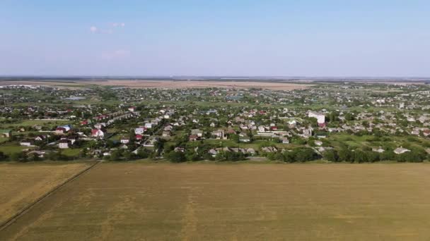 Zbor Peste Câmp Grâu Satul Ucrainean — Videoclip de stoc