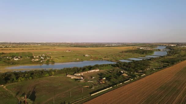 Weizenwiesen Luftaufnahme Flug Über Das Ukrainische Dorf — Stockvideo