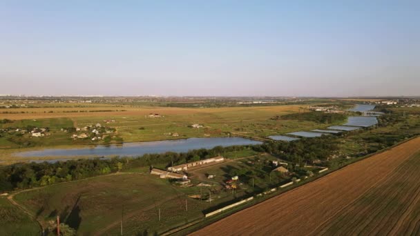 Łąki Pszenicą Widok Lotu Ptaka Lot Nad Ukraińską Wioską — Wideo stockowe