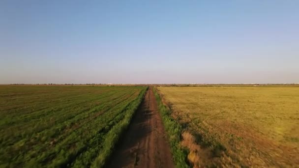 Łąki Pszenicą Widok Lotu Ptaka Lot Nad Ukraińską Wioską — Wideo stockowe