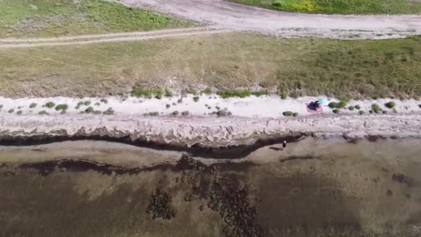 Pola Słoneczników Zbieram Plony Widok Powietrza — Wideo stockowe