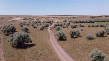 Çalılıklarda taş ocağını su bastı. Madencilik ve Taş ocağı. Hava Görünümü
