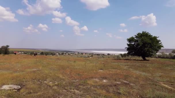 Vista Aérea Campo Árido Pueblo Ucraniano — Vídeos de Stock