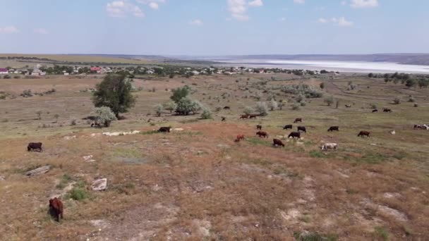 Vista Aérea Campo Árido Pueblo Ucraniano — Vídeos de Stock