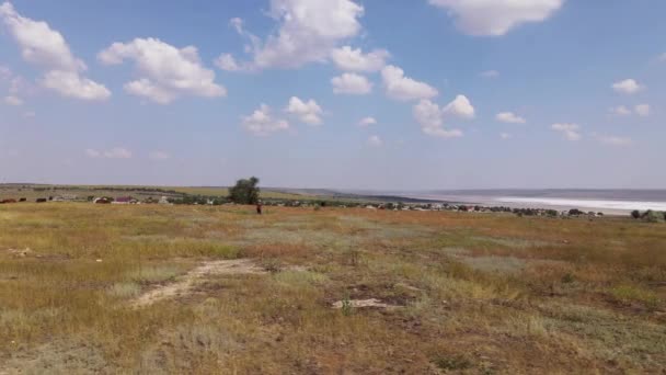 Luftaufnahme Eines Arid Feldes Ukrainisches Dorf — Stockvideo