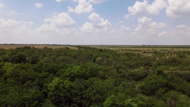 Vue aérienne d'un champ aride. Village ukrainien
