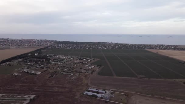 Campos Con Girasoles Anochecer Vista Aérea — Vídeo de stock