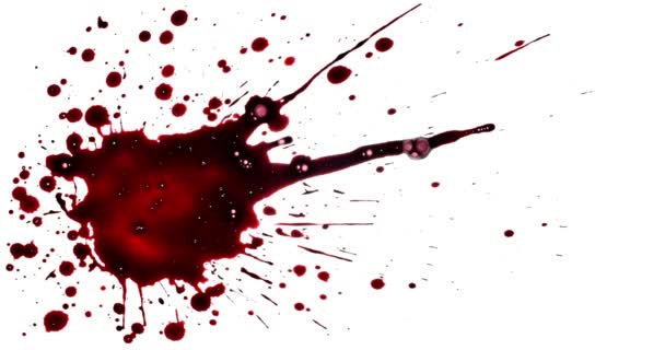 Egy Kis Vörös Festék Vérfröccsenés Készlet Horror Filmeffektek — Stock videók