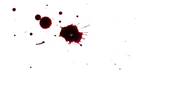 Splash Van Red Paint Bloedplaatjes Horror Film Effecten — Stockvideo