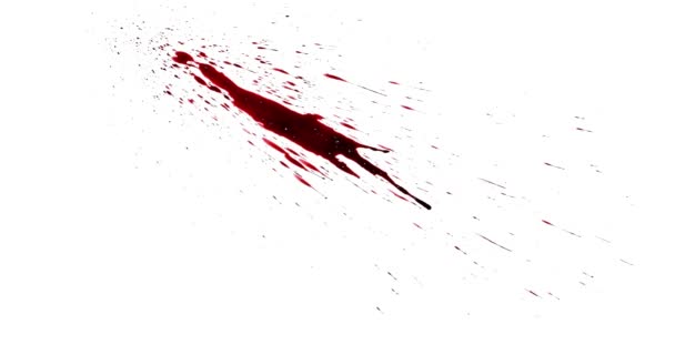Kawałki Czerwonej Farby Zestaw Rozprysków Krwi Efekty Horroru — Wideo stockowe