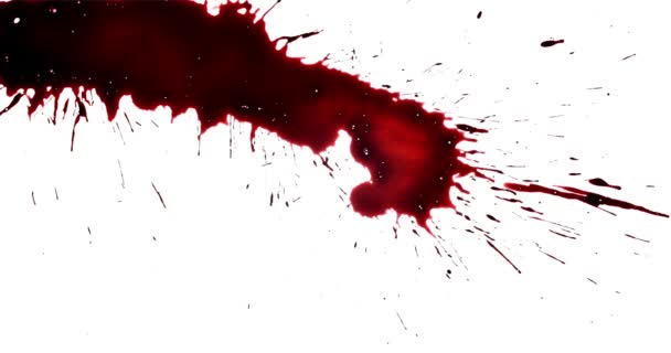 Kırmızı Boya Damlaları Kan Sıçrama Seti Korku Filmi Efektleri — Stok video