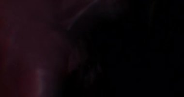 Sonbahar Fişekleri. Video için güzel ve sıcak makro kaplamalar. Kristal 'den geçen güneşin parıltısı. Camın içinden Parlak Işık Yakından.