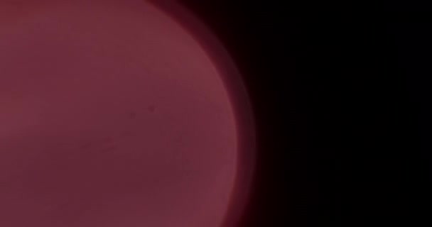 Осенние Огни Мбаппе Warm Macro Overlays Вашего Видео Блеск Солнца — стоковое видео