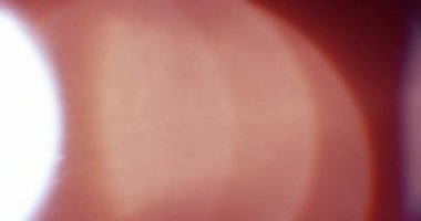 Sonbahar Fişekleri. Video için güzel ve sıcak makro kaplamalar. Kristal 'den geçen güneşin parıltısı. Camın içinden Parlak Işık Yakından.