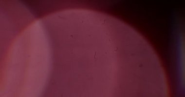 Sonbahar Fişekleri. Video için güzel ve sıcak makro kaplamalar. Kristal 'den geçen güneşin parıltısı. Camın içinden Parlak Işık Yakından.