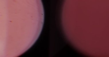 Sonbahar Fişekleri. Video için güzel ve sıcak makro kaplamalar. Kristal 'den geçen güneşin parıltısı. Camın içinden Parlak Işık Yakından.
