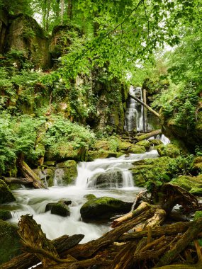 Dağ deresi resim gibi yeşil bir kanyonda akar. Voievodyn nehri, Sokolovi Skeli rezervi, Zakarpattia (Transcarpathia), Ukrayna Karpatları