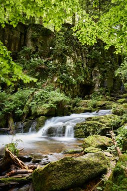 Güzel Karpatlar 'daki muhteşem bir dağ deresinin yosun, liken ve çimen sarp kayalıklarıyla kaplanmış. Voievodyn nehri, Sokolovi Skeli rezervi, Zakarpattia (Transcarpathia), Ukrayna Karpatları