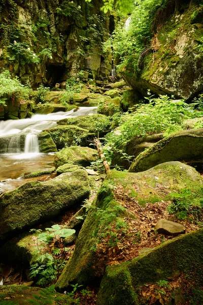 Büyülü Carpathian ormanlarının yeşilliğinde, Voievodyn 'in güzel manzarası. Voievodyn nehri, Sokolovi Skeli rezervi, Zakarpattia (Transcarpathia), Ukrayna
