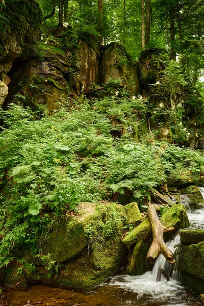 Ukrayna Karpatları 'nda yosun, çimen ve sarp kayalıklarla kaplı huzurlu bir dağ akıntısı. Voievodyn nehri, Sokolovi Skeli rezervi, Zakarpattia (Transcarpathia), Ukrayna