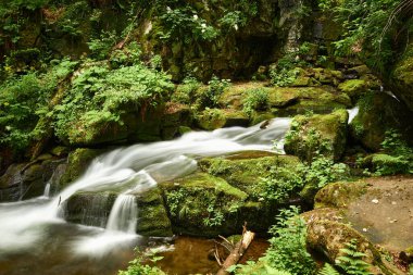 Sakin su bir dağ deresinde akıyor. Güzel Carpathian dağları arasında huzurlu bir dere akışı. Voievodyn nehri, Sokolovi Skeli rezervi, Zakarpattia, Ukrayna