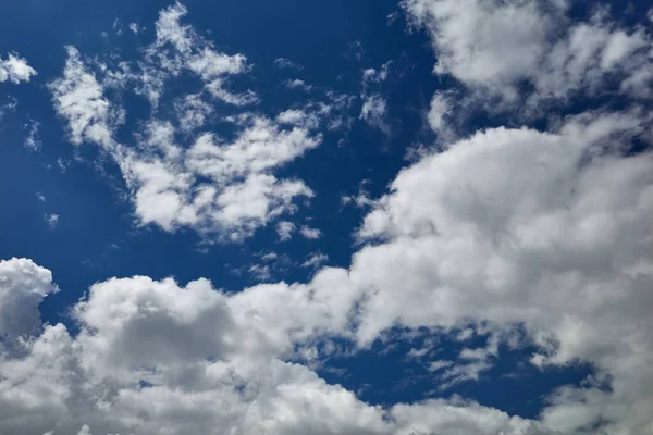 Bizzarre Nuvole Cumulus Volano Nel Cielo Blu — Foto Stock