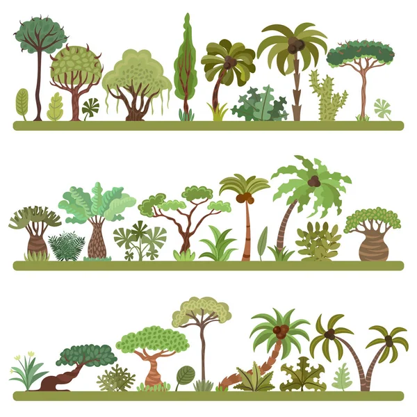 Coleção de árvores tropicais, palmeiras e outras plantas tropicais exóticas conjunto vetor ilustração. Floresta exuberante. Floresta tropical árvores da selva, plantas, arbustos, folhas e arbustos, paraíso praia resort torto —  Vetores de Stock