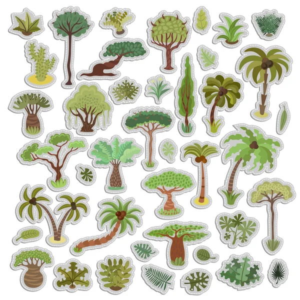 Coleção de árvores tropicais adesivos, palmas e outras plantas tropicais exóticas, conjunto de ilustração vetor adesivo. Floresta tropical árvores da selva, plantas, arbustos, folhas, paraíso praia resort palma torta —  Vetores de Stock