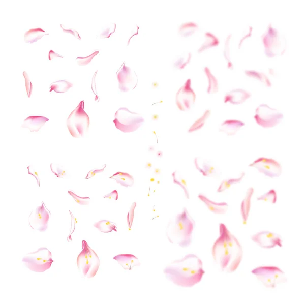 Vector set roze vallende rose en sakura bloemblaadjes. Wazig lente bloesem petal set met decoratieve elementen, meeldraad. Sakura petal ingesteld, bloesem roze bloemblaadjes objecten, petal element ingesteld met blured — Stockvector