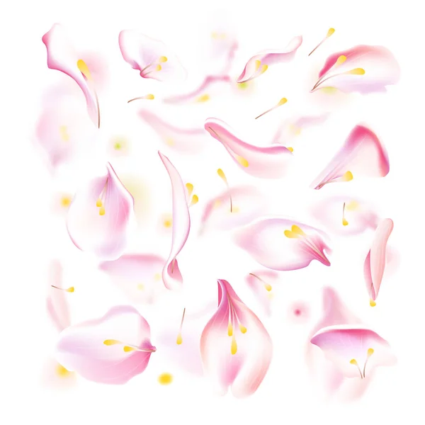 Vektorové Sada růžové padající rose a sakura lístků. Rozmazané jarní květ petal s ozdobnými prvky, tyčinka. Sakura petal sada, květy růží objekty, petal prvek s blured — Stockový vektor