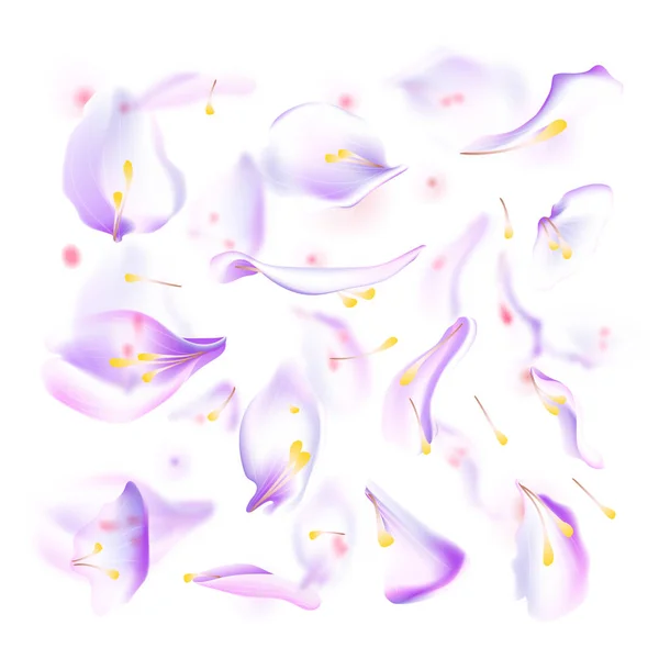 Conjunto Vectorial Pétalos Rosa Azul Sakura Conjunto Pétalos Borrosa Flor — Archivo Imágenes Vectoriales