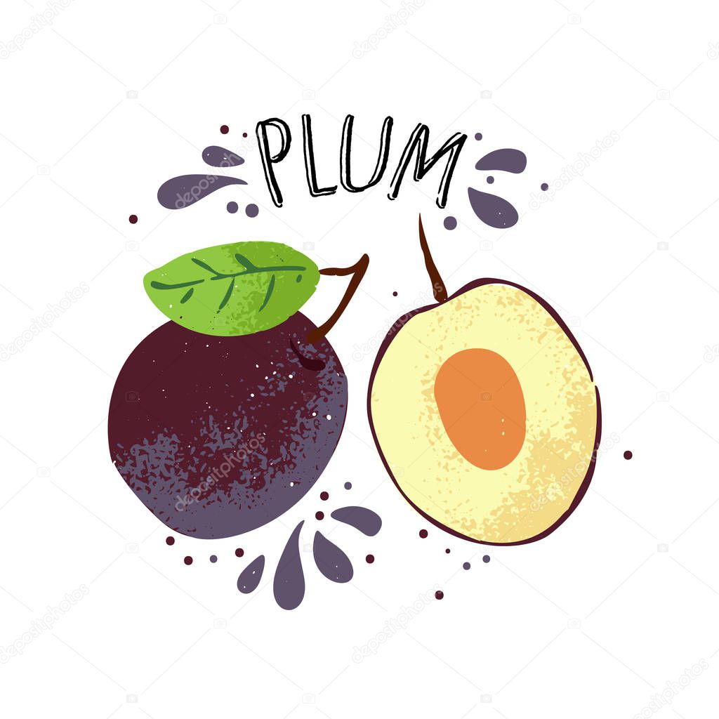 Vector hand draw plum illustration. Violet plums with juice splashes isolated on white background. Textured blue and yelllow plum sketch, juice fruit with word Plum on top. Fresh silhouette fruit of
